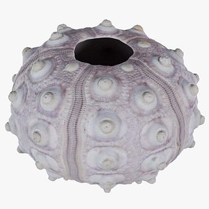 Sputnik Sea Urchin Remastered