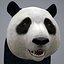 3d Panda Bamboo Bear