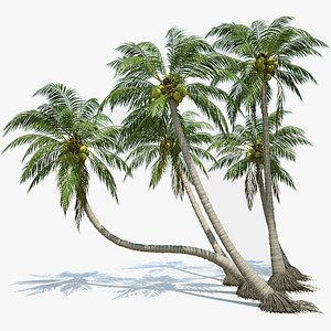 Coconut Palms Set