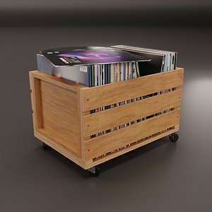 3D Vinyl Storage No-33