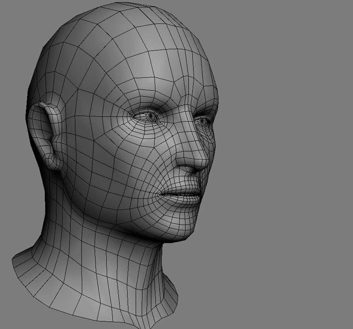 Character Head Rigged 3d Model