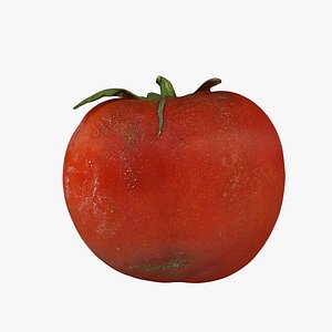 Tomato