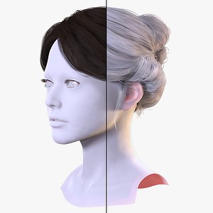 Elegant Bun Hairstyle - Realistic 3D Female Hair Model