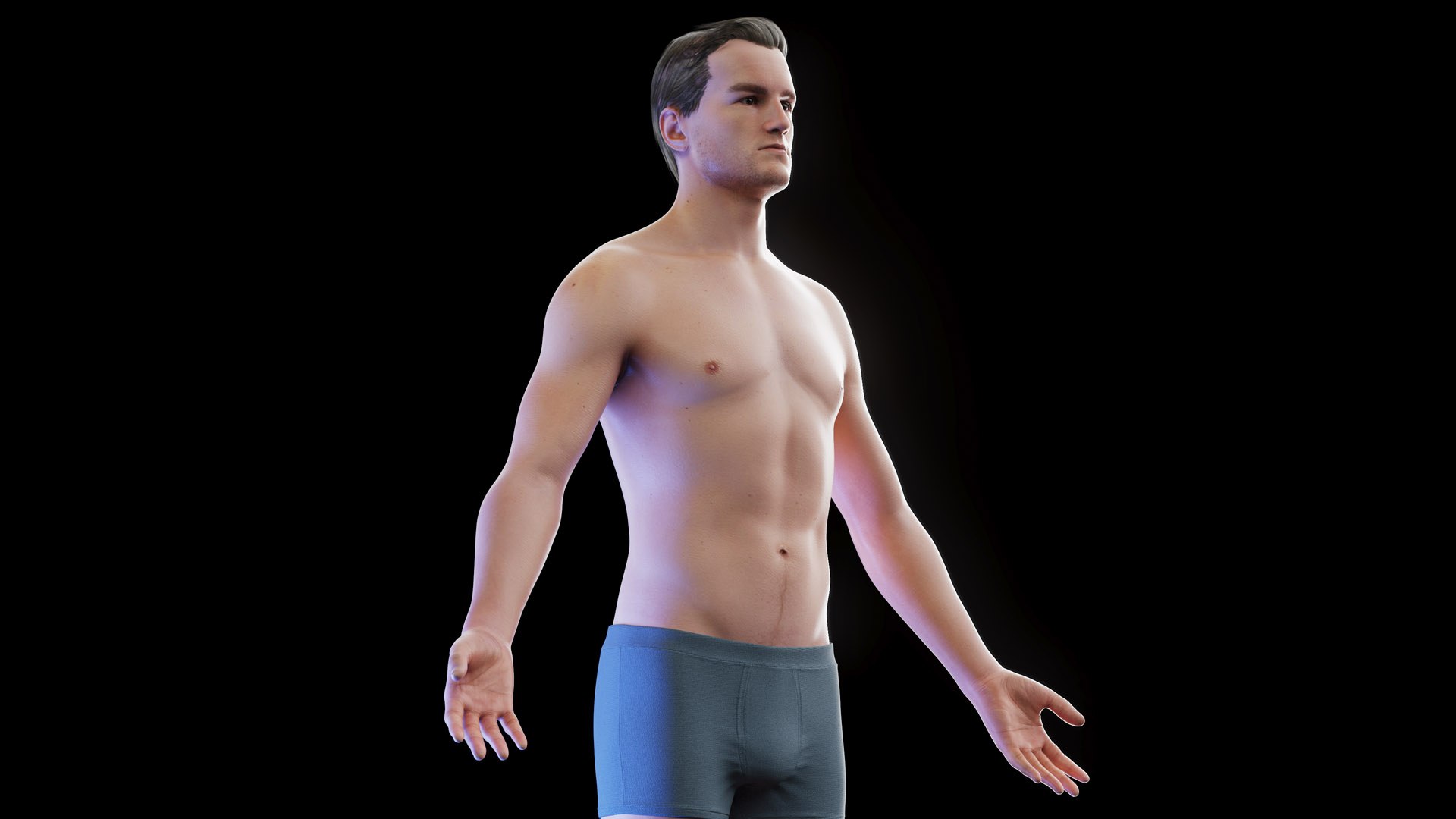 Human Male Anatomy Body 3D - TurboSquid 2013057