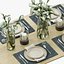3D Table setting