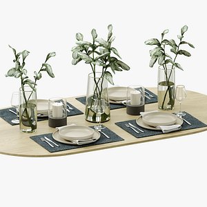 3D Table setting