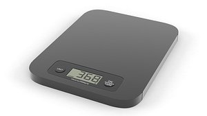 Digital Scale model