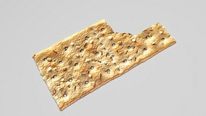 Bitten Square Bio Cracker model