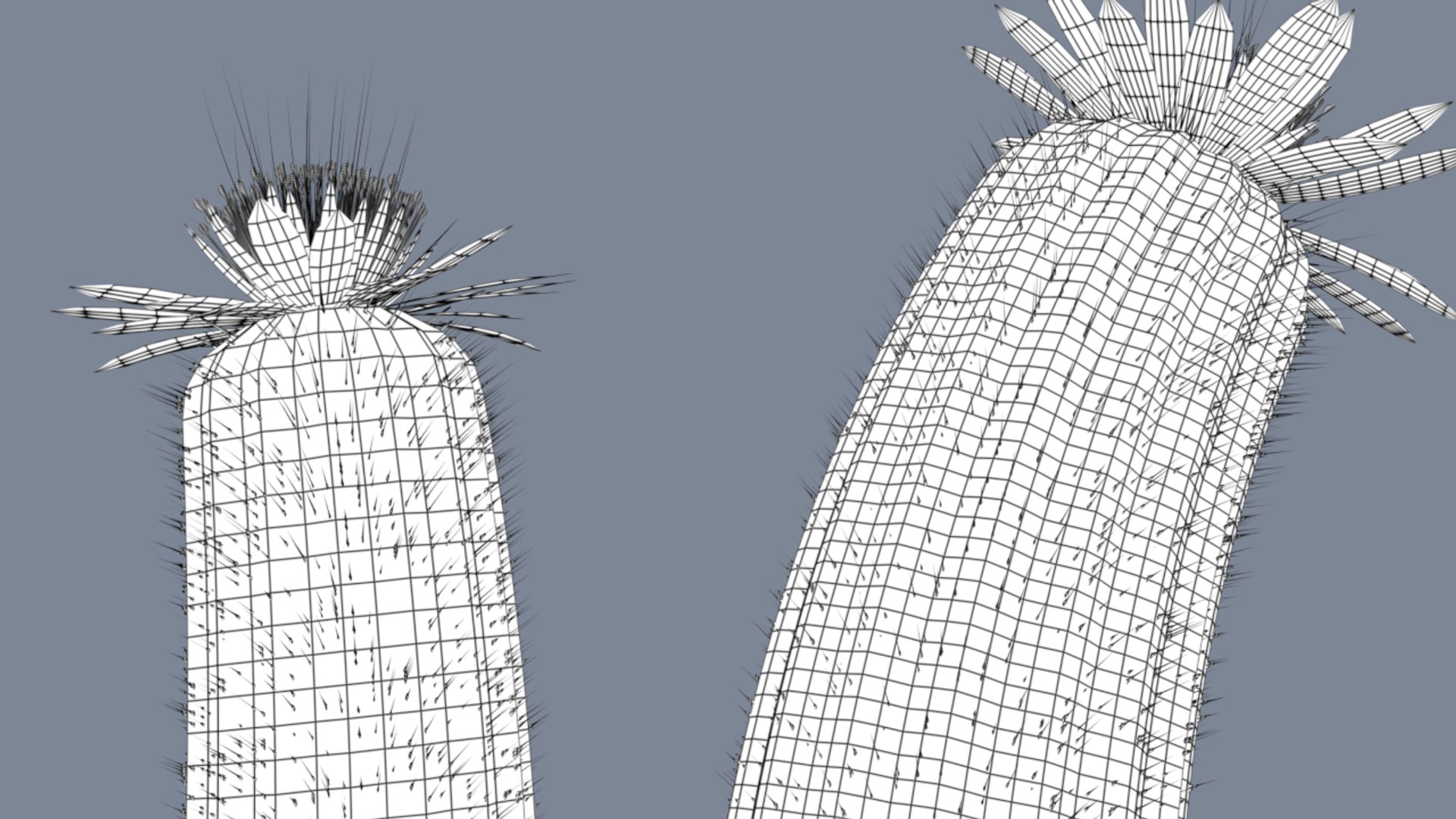 3D model Desert plant https://p.turbosquid.com/ts-thumb/c3/zZCPvW/0c/w100000/png/1648873716/1920x1080/fit_q87/e765be543a39b0b8a0a664ff43357ccb143126b5/w100000.jpg