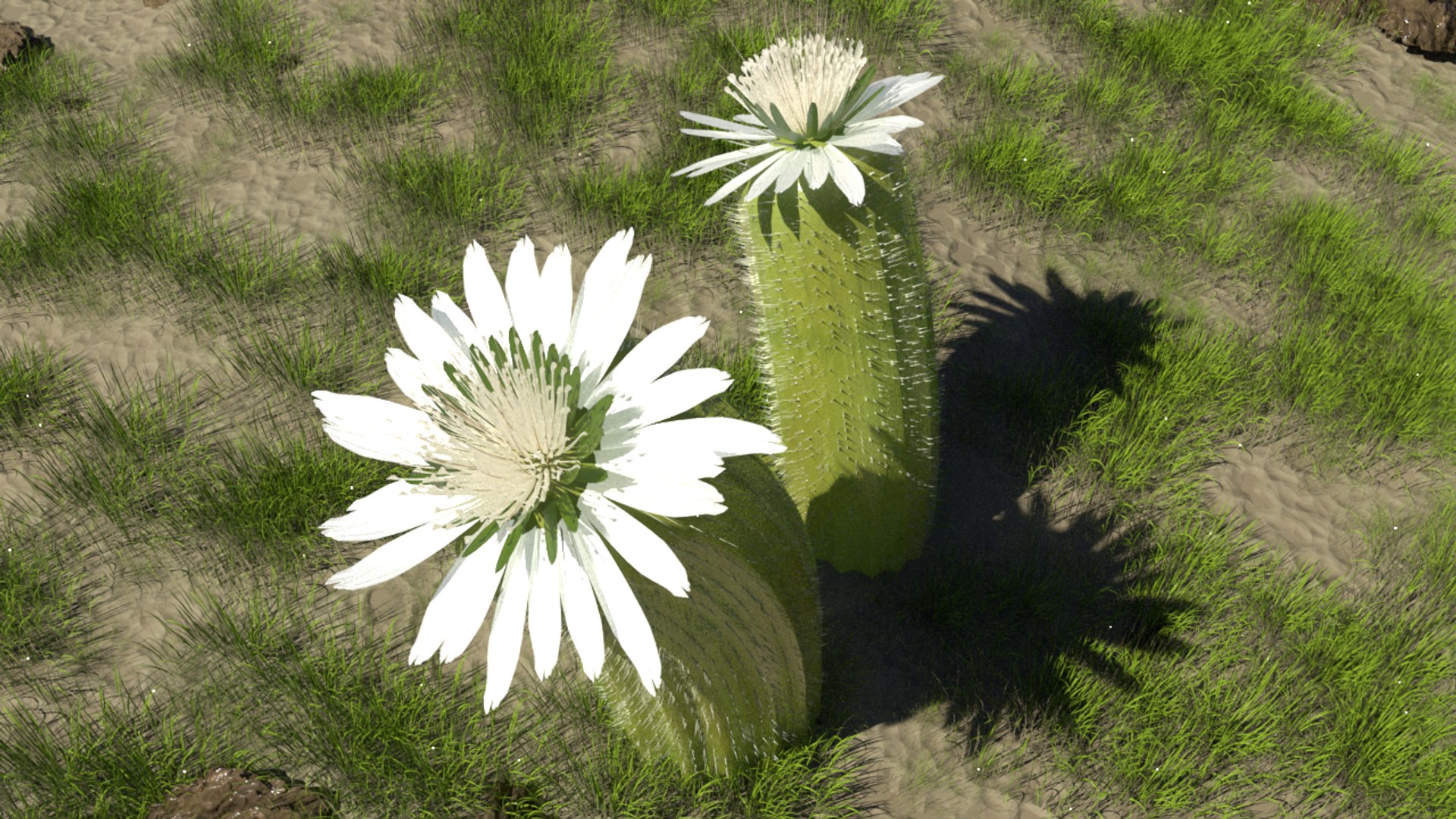 3D model Desert plant https://p.turbosquid.com/ts-thumb/c3/zZCPvW/4u/4r00000/png/1648873676/1920x1080/fit_q87/90ed2e963704f28926048b3500f13c7e596d921b/4r00000.jpg