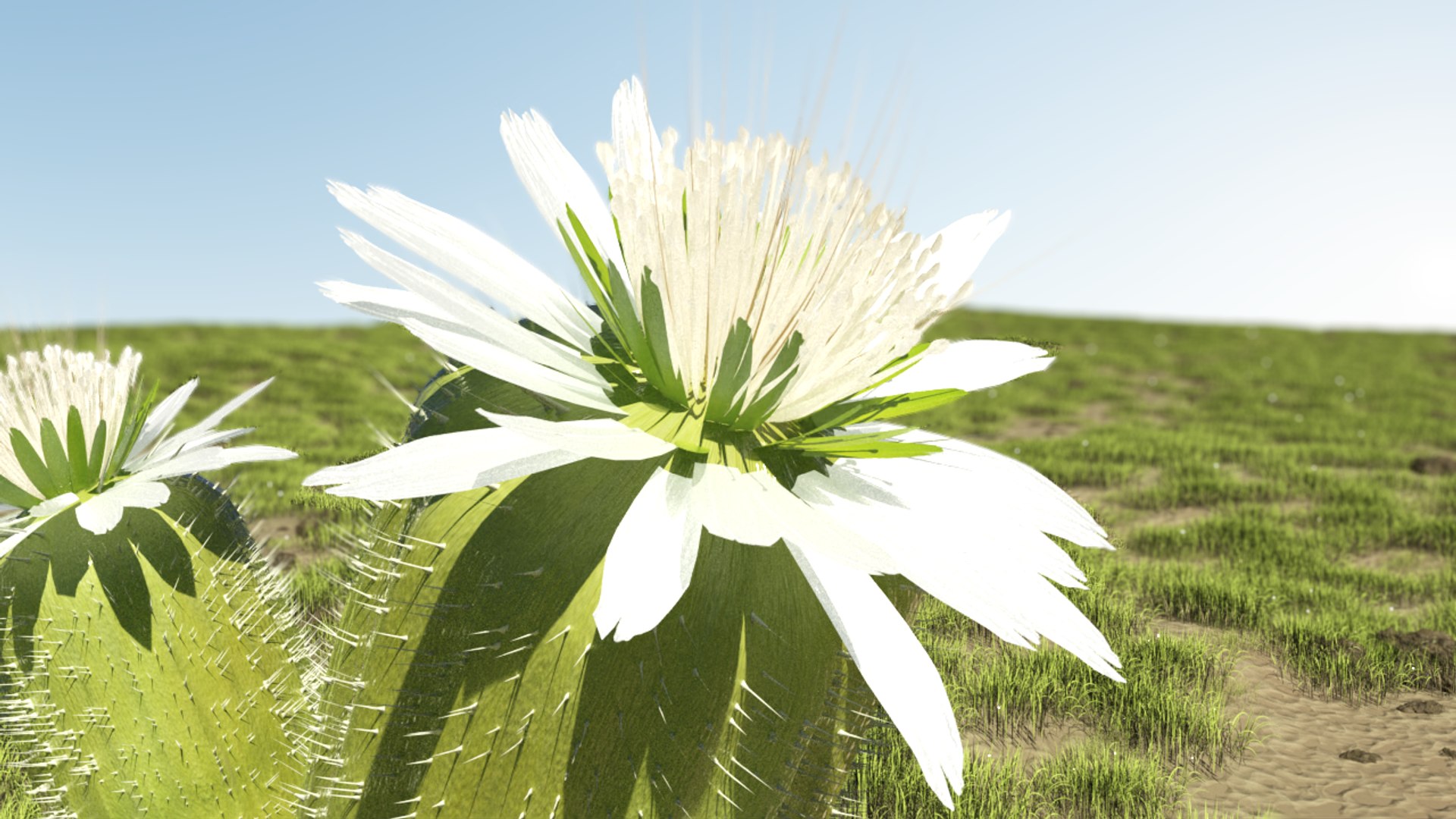 3D model Desert plant https://p.turbosquid.com/ts-thumb/c3/zZCPvW/FL/3r00000/png/1648873659/1920x1080/fit_q87/d3ea92d9ca19536327dc450a2da6d5e97597e207/3r00000.jpg