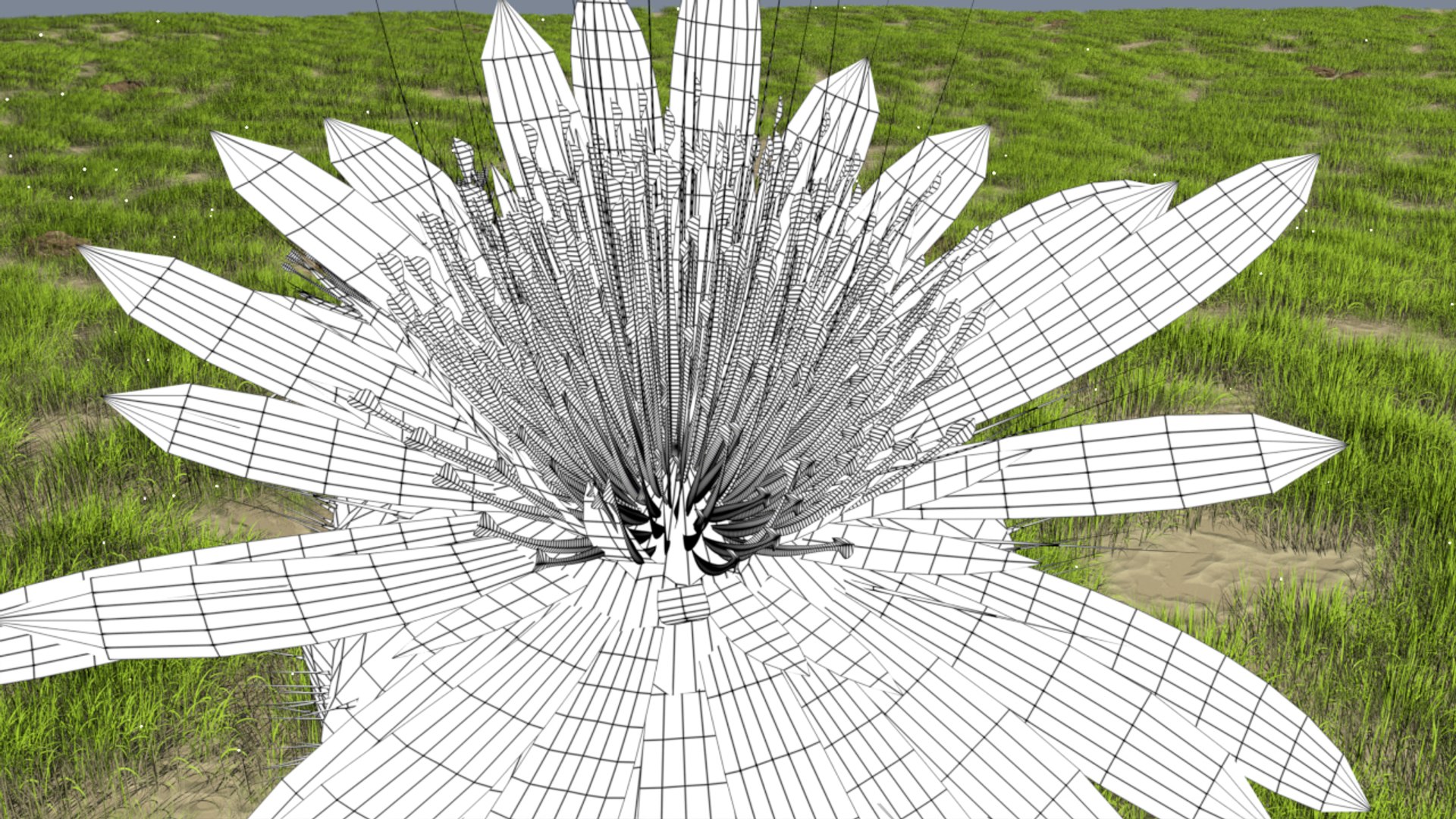 3D model Desert plant https://p.turbosquid.com/ts-thumb/c3/zZCPvW/rx/w1200000/png/1648873732/1920x1080/fit_q87/d91e24bbcba36fd5e997a025f453a601506ace23/w1200000.jpg