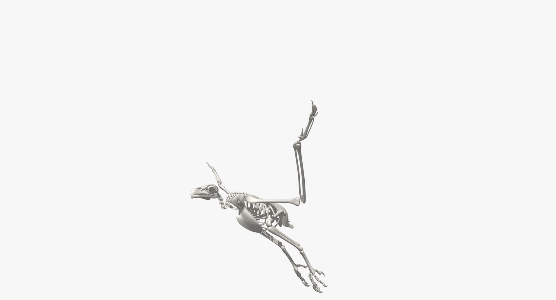 3d bald eagle https://p.turbosquid.com/ts-thumb/c4/7ejgqh/1Fj4DnCq/rs00/jpg/1483632075/1920x1080/fit_q87/ced0ec3a8b00e5fa6c9a1e02bc7cbb8c14bf22b9/rs00.jpg