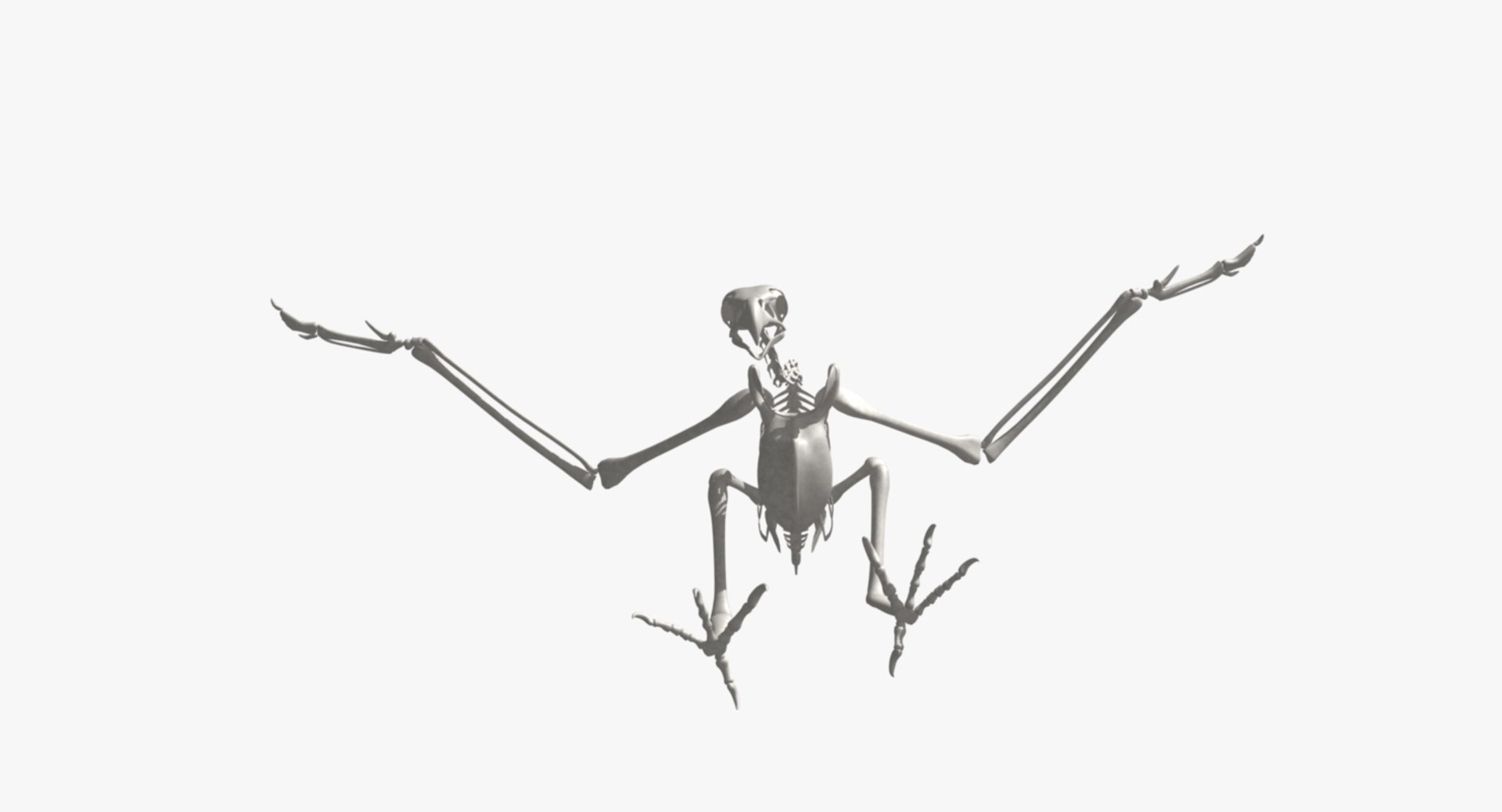 3d bald eagle https://p.turbosquid.com/ts-thumb/c4/7ejgqh/8QJAAOrY/rs09/jpg/1483632100/1920x1080/fit_q87/9162b4a259b93d16a8d6a9080ed8d45ca9ac3749/rs09.jpg