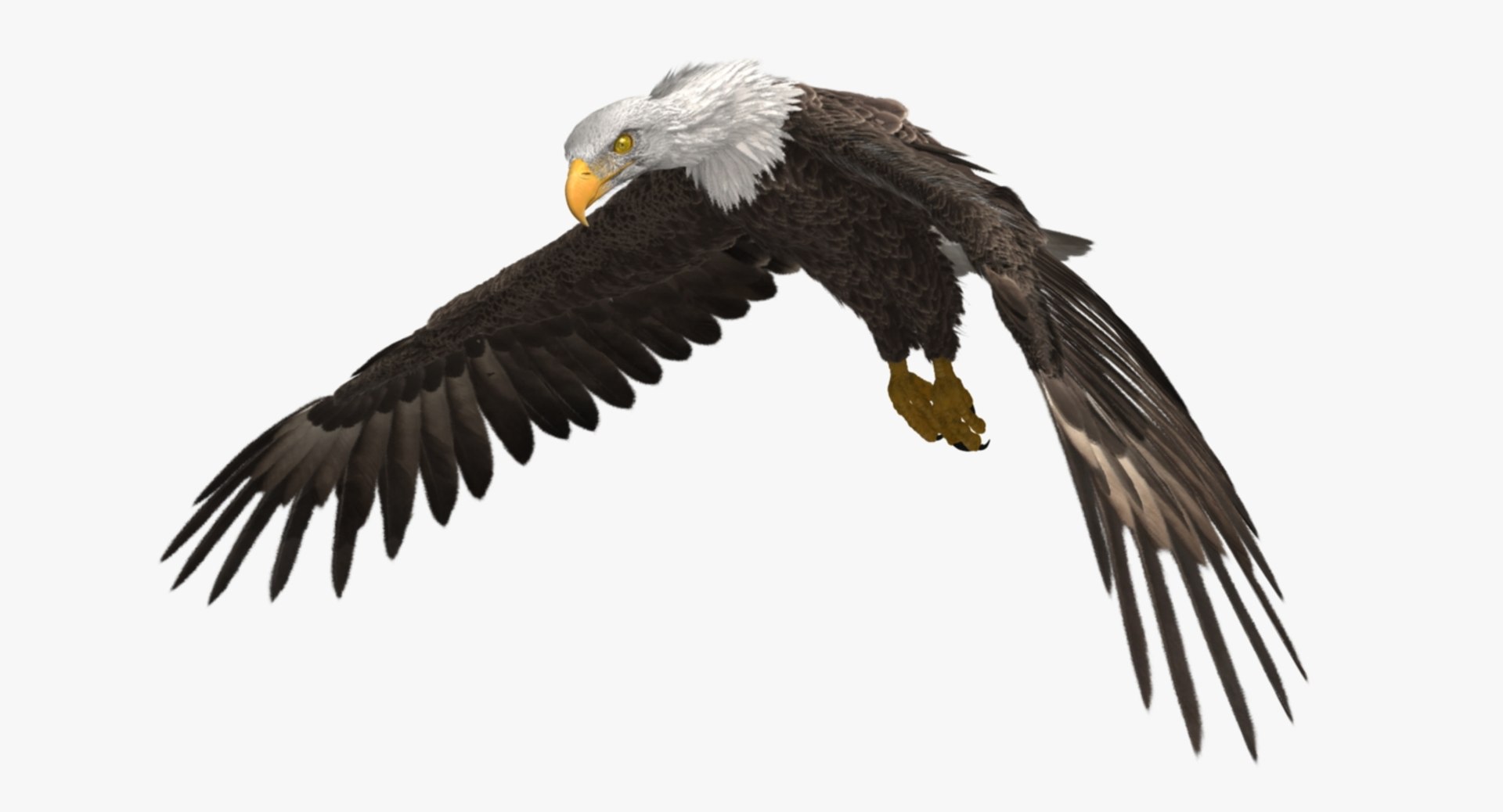 3d bald eagle https://p.turbosquid.com/ts-thumb/c4/7ejgqh/8ugvcolK/rp06/jpg/1483632074/1920x1080/fit_q87/cab1701a832aa36b23bbd46ab16b4700f6d80b8e/rp06.jpg