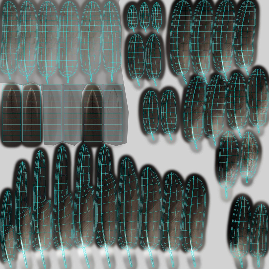 3d bald eagle https://p.turbosquid.com/ts-thumb/c4/7ejgqh/FDaiShVP/feathers_uv/jpg/1483684664/1920x1080/fit_q87/9eedca52016dd9b37913589223089b73870b3b33/feathers_uv.jpg