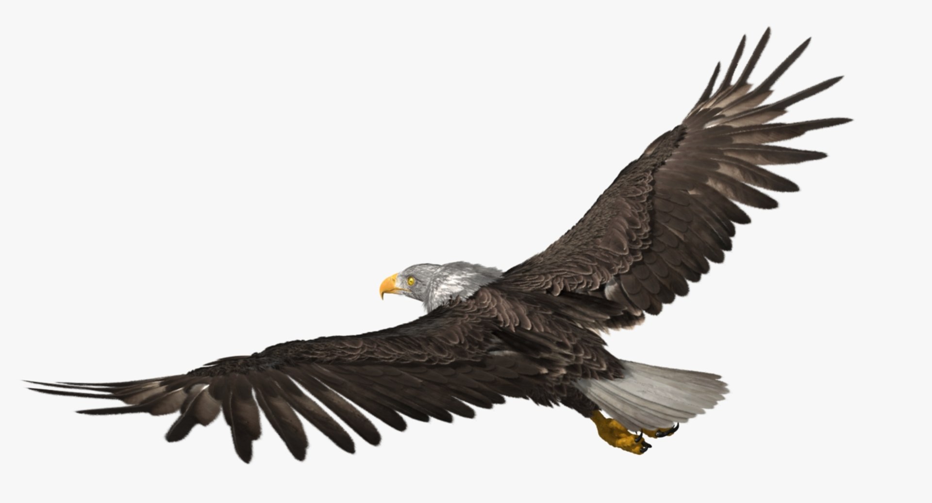3d bald eagle https://p.turbosquid.com/ts-thumb/c4/7ejgqh/TLHnknKB/rp05/jpg/1483632074/1920x1080/fit_q87/83baefb3ab76557ecf95397e7752473cf6a87fda/rp05.jpg
