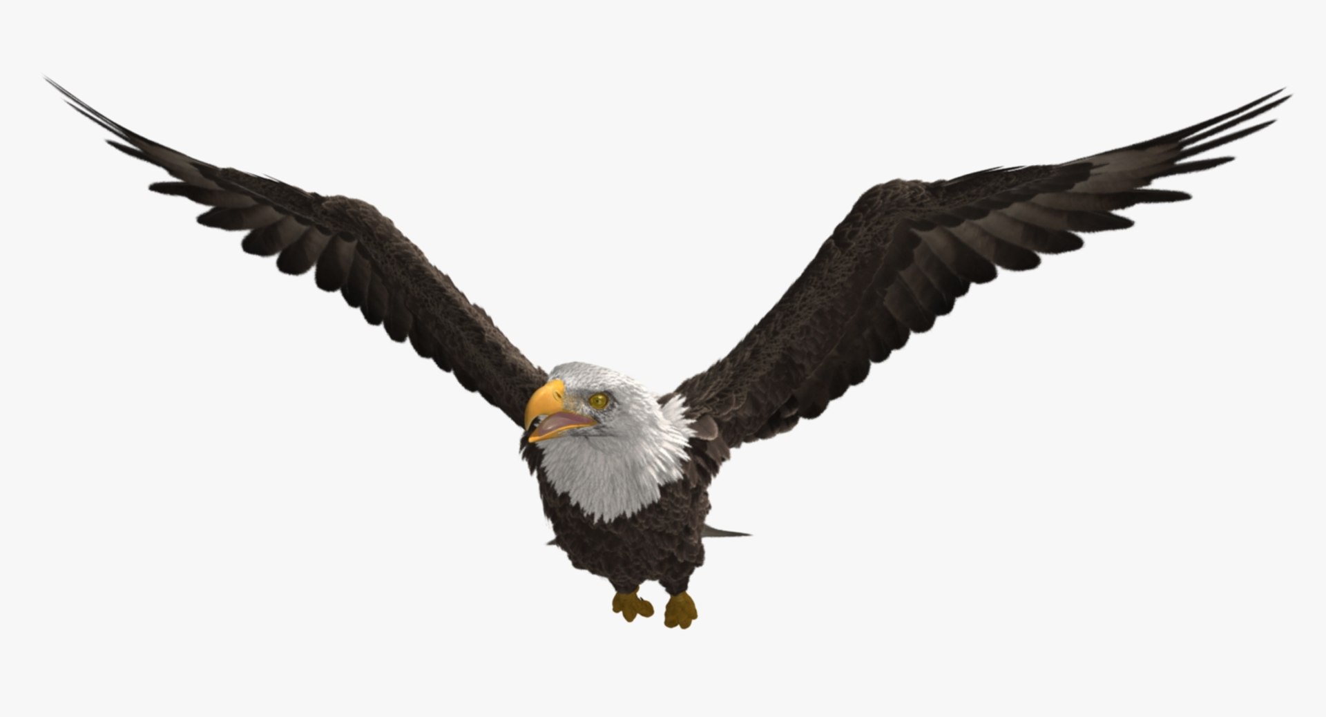 3d bald eagle https://p.turbosquid.com/ts-thumb/c4/7ejgqh/adhb7F4u/rp03/jpg/1483632074/1920x1080/fit_q87/762c9279c98513881e895c15f4fc89690d879d97/rp03.jpg