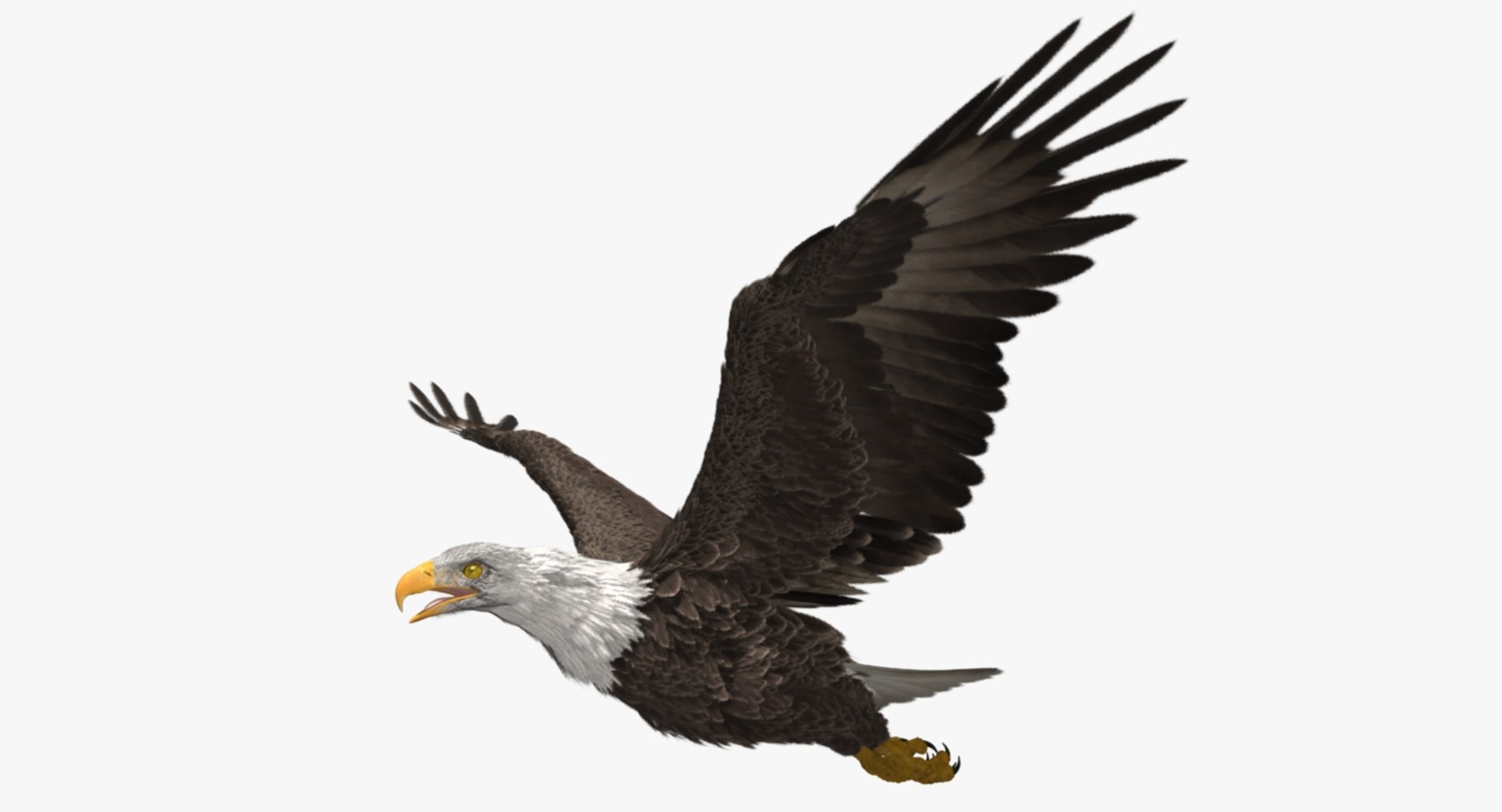 3d bald eagle https://p.turbosquid.com/ts-thumb/c4/7ejgqh/baaZSGgr/rp02/jpg/1483632074/1920x1080/fit_q87/3885b3726beec918bd3341bed89d20c9c183f398/rp02.jpg
