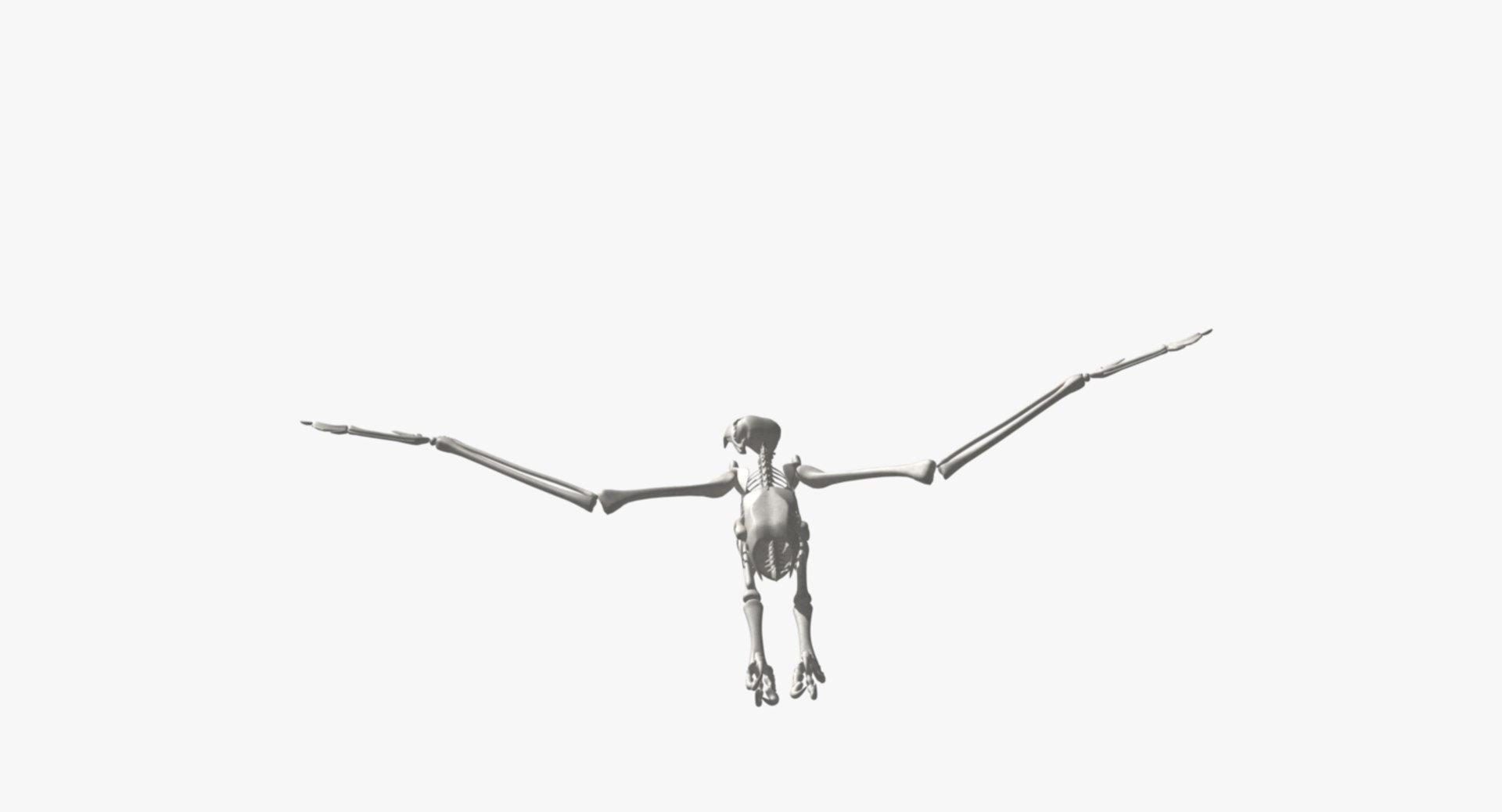 3d bald eagle https://p.turbosquid.com/ts-thumb/c4/7ejgqh/oNJfkyZA/rs04/jpg/1483632100/1920x1080/fit_q87/bd96d6586001cd599f9c34c5a6ac2c4545c62ebd/rs04.jpg