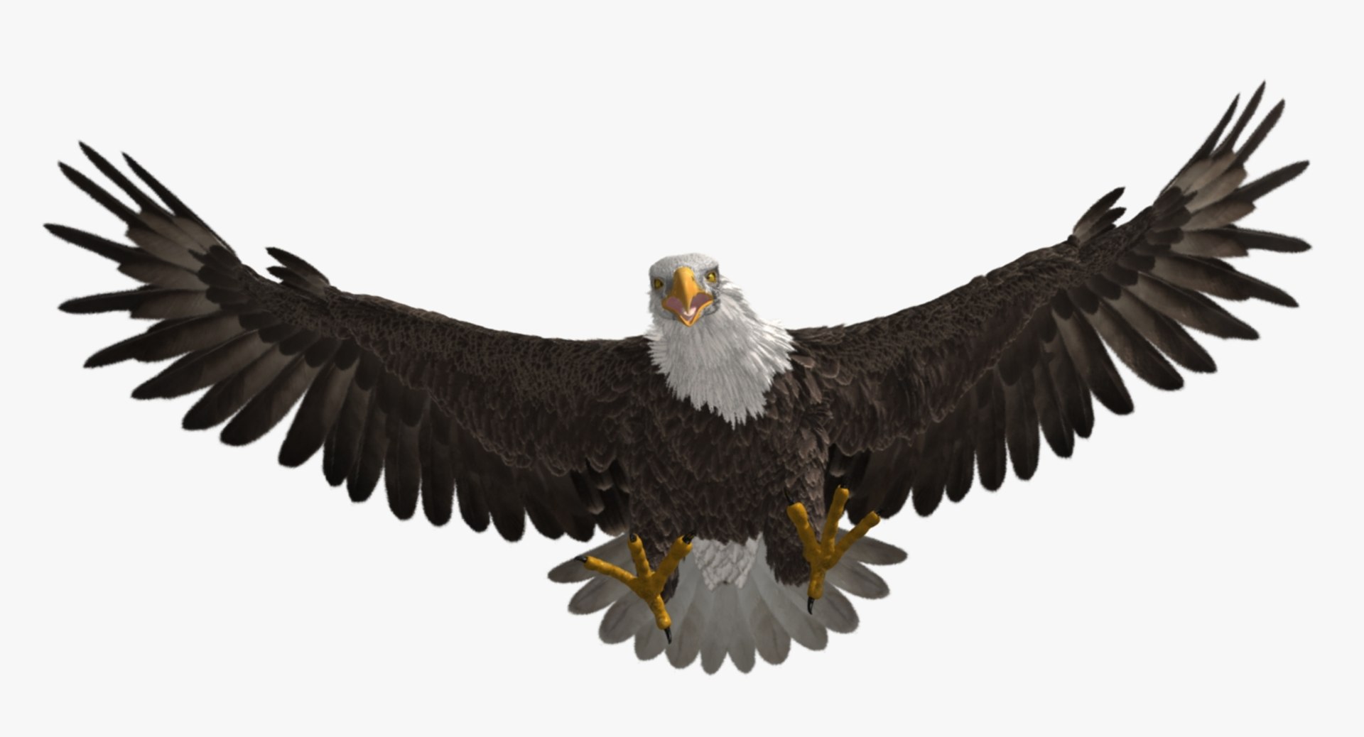 3d bald eagle https://p.turbosquid.com/ts-thumb/c4/7ejgqh/tjoBKvYe/rp09/jpg/1483632074/1920x1080/fit_q87/d574623193bfadd70aa4cbffbd6043a09d0bf8a3/rp09.jpg