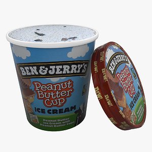 Ben and Jerrys Peanut Butter Cup ice cream model