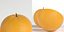 Oranges