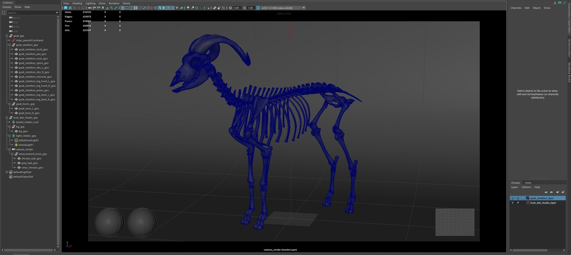 3D Animal Skeletons https://p.turbosquid.com/ts-thumb/c4/X3fPRr/54/capture/jpg/1760339838/1920x1080/fit_q87/b6bfb6bbc39a04b066e05cc60dd085394e1d91d4/capture.jpg