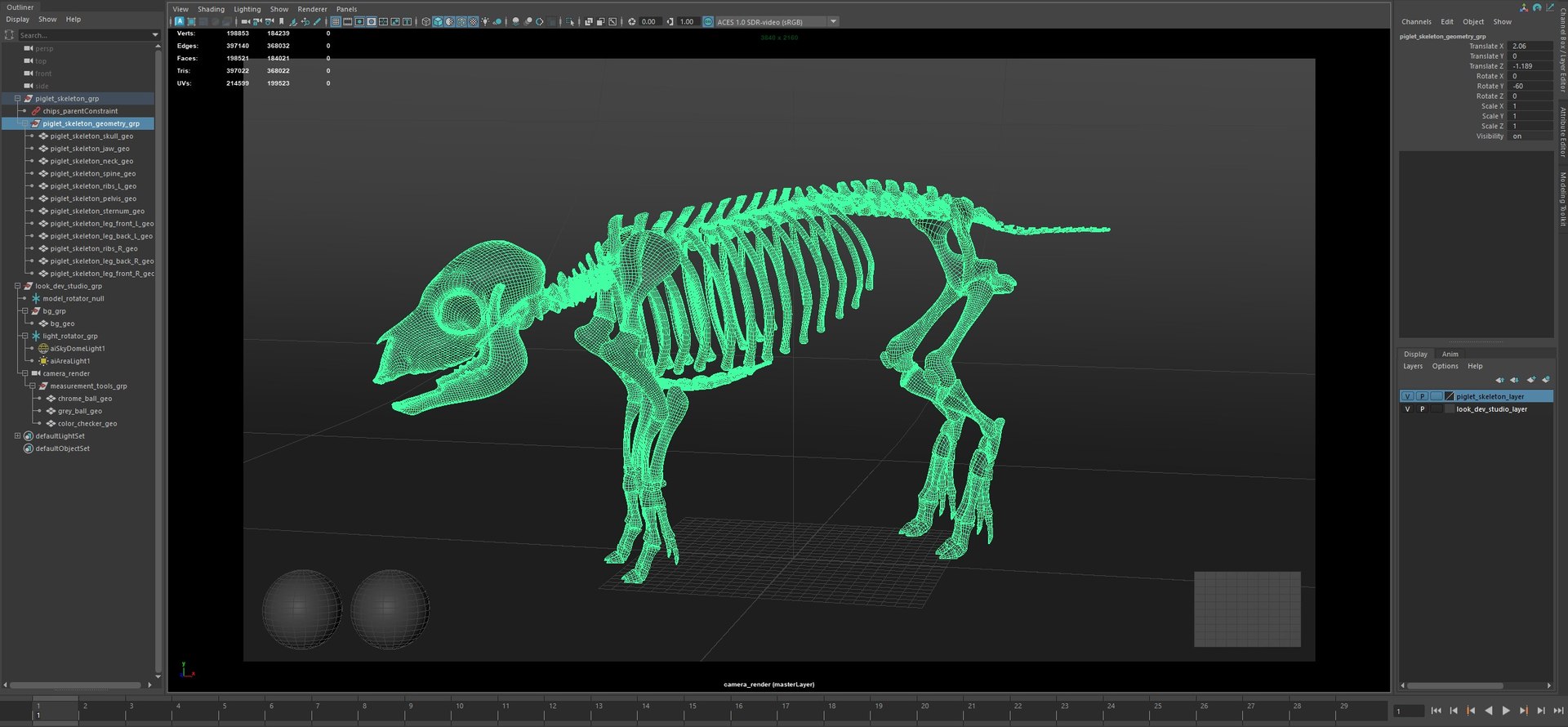 3D Animal Skeletons https://p.turbosquid.com/ts-thumb/c4/X3fPRr/yI/piglet_skeletoncapture/jpg/1760339907/1920x1080/fit_q87/9d47db542173161d1ecc869c3219ebe3fc18a740/piglet_skeletoncapture.jpg