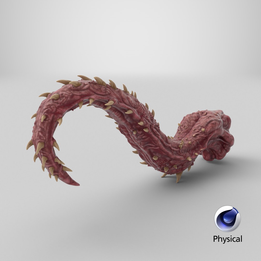 Monster Tongue 3D model https://p.turbosquid.com/ts-thumb/c4/YsMbPD/f2/stemcell_cinema_4d_physical_render/png/1776937464/1920x1080/fit_q87/bb49efe75e454fcb43b05bca150ce53a575a60c0/stemcell_cinema_4d_physical_render.jpg