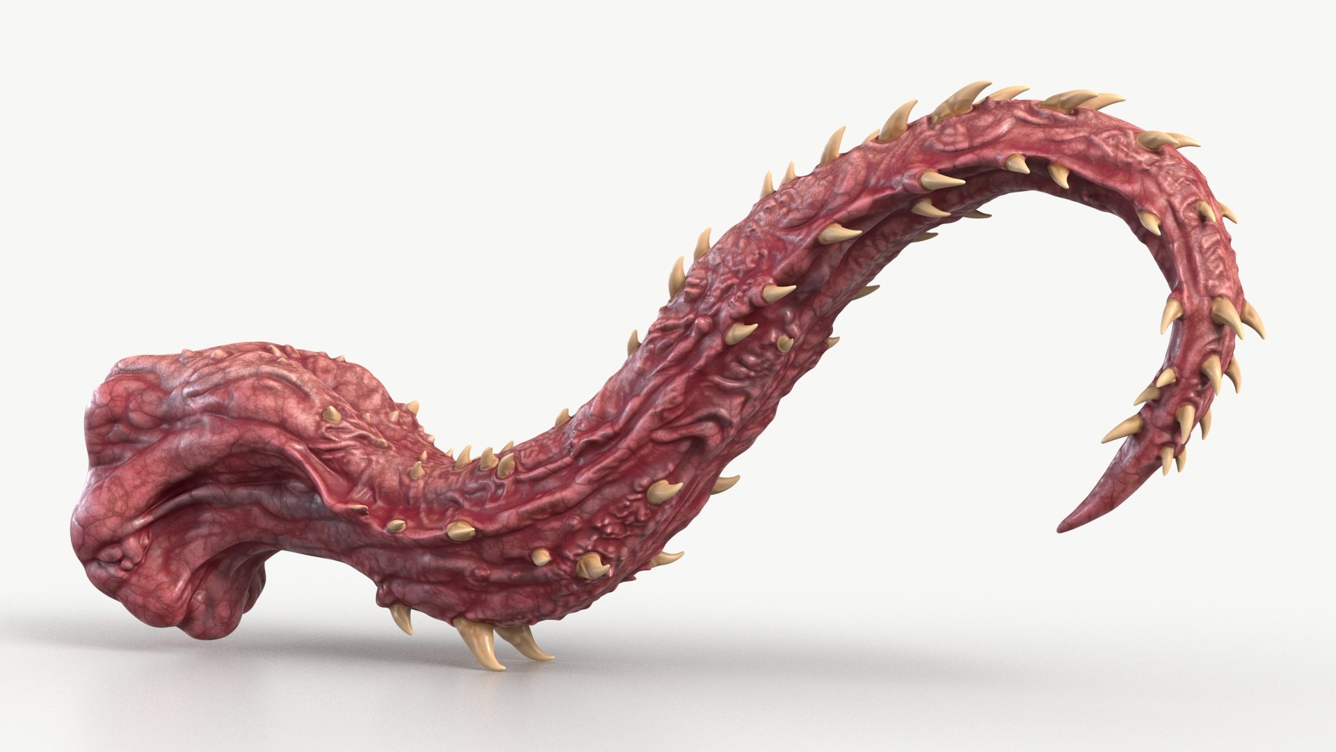 Monster Tongue 3D model https://p.turbosquid.com/ts-thumb/c4/YsMbPD/rA/1_monstertongue_camera_4/jpg/1776102059/1920x1080/fit_q87/2527cf1ac897faddb4a2f9bd8fcd12286af9abcc/1_monstertongue_camera_4.jpg