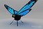 Blue Butterfly