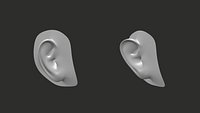 Pair of ears for 3D Characters
