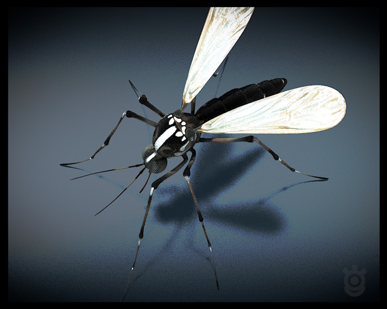 mosquito 3d max https://p.turbosquid.com/ts-thumb/c5/3Rp6Od/O18djPoJ/03_camtop/jpg/1382622073/1920x1080/fit_q87/ac2704e4d8a92bddd7da87e7b5c7c0ed336e64f8/03_camtop.jpg