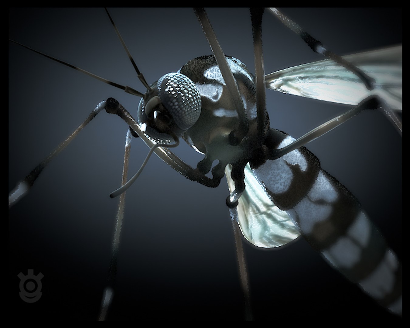 mosquito 3d max https://p.turbosquid.com/ts-thumb/c5/3Rp6Od/Wgb6lZWd/05_cambottom/jpg/1382622118/1920x1080/fit_q87/0a4ab6c8d163e9be91382cd230bc7c9061706314/05_cambottom.jpg