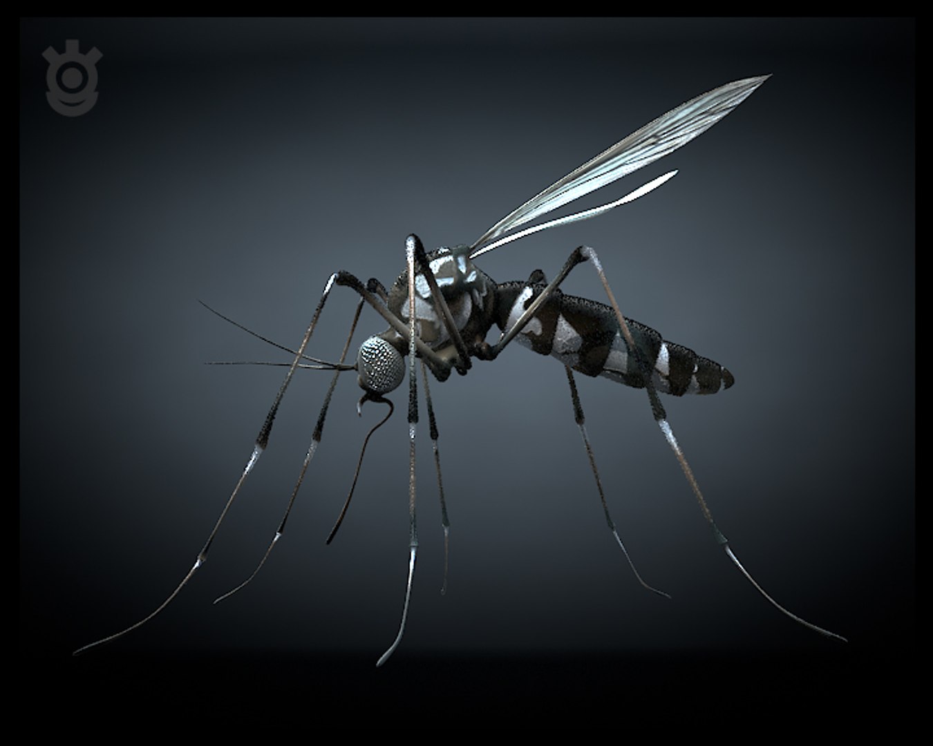 mosquito 3d max https://p.turbosquid.com/ts-thumb/c5/3Rp6Od/jkNfbC8y/02_camside/jpg/1382622073/1920x1080/fit_q87/ba7e4d15811769d1f5c74540fa30641c23261414/02_camside.jpg