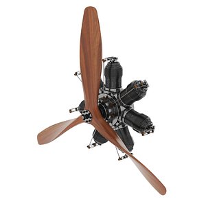 radial engine 3D model