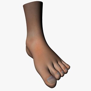 decent feet uv unwrapped 3d model