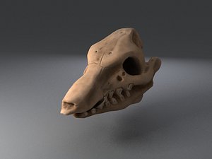 max pig skull
