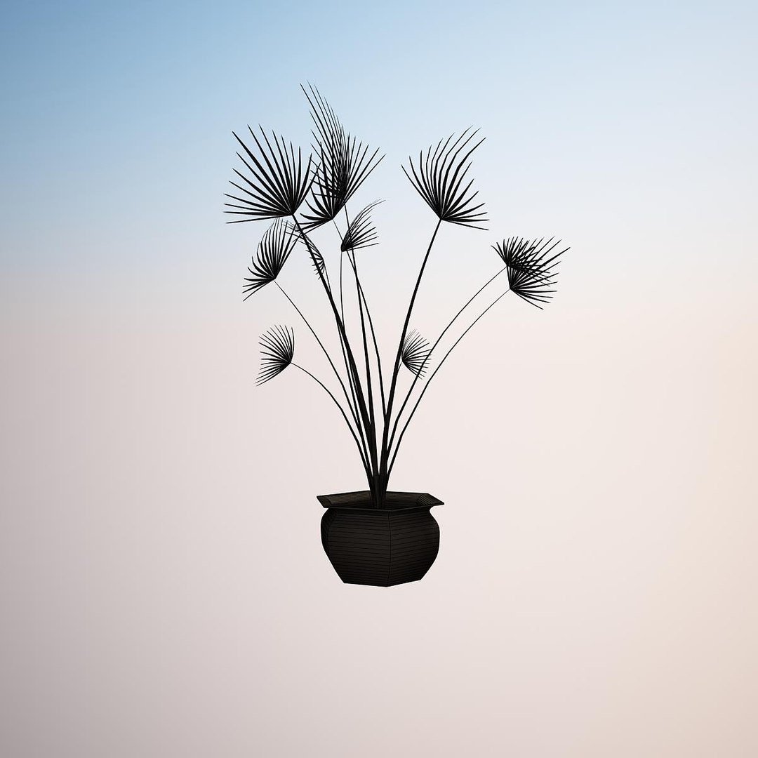 plant washingtonia filifera 3d 3ds https://p.turbosquid.com/ts-thumb/c5/MYHr5g/7JLTpZ2i/render_plant_washingtonia_filifera_vray_20000/jpg/1418122522/1920x1080/fit_q87/98ebdf8ee42fd9faf7e26aae52014de9fc3a9493/render_plant_washingtonia_filifera_vray_20000.jpg