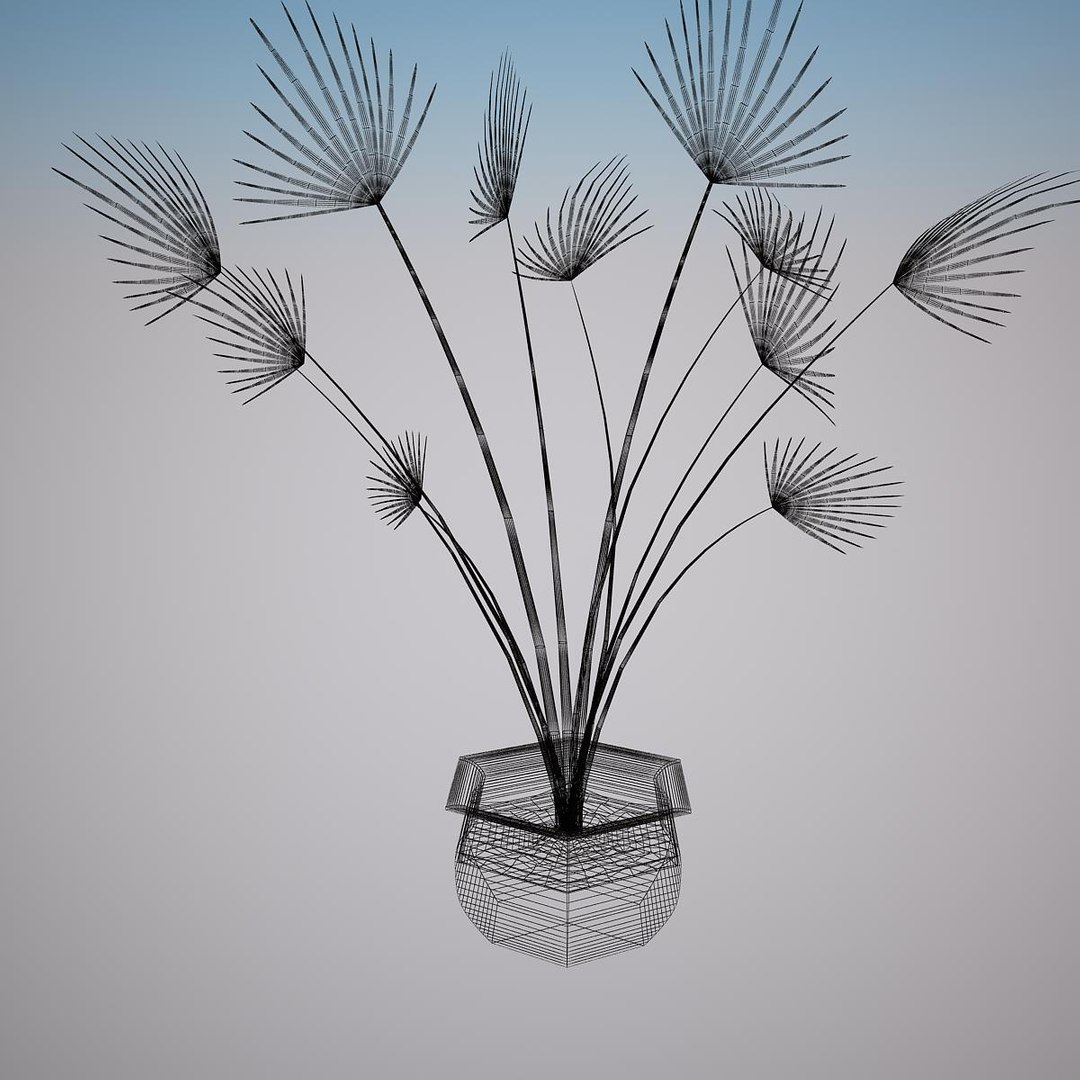 plant washingtonia filifera 3d 3ds https://p.turbosquid.com/ts-thumb/c5/MYHr5g/pDw9CfB5/render_plant_washingtonia_filifera_vray_30015/jpg/1418122522/1920x1080/fit_q87/3fcdbb2f9d8b9d8f17e12b0a14fd3cc1aac77891/render_plant_washingtonia_filifera_vray_30015.jpg