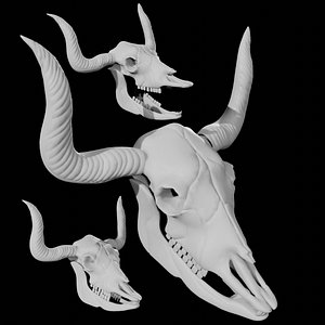 Rigged Bull Skull