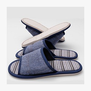 Pair of blue slippers household items 3D