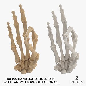Human Hand Bones Hole Sign White and Yellow Collection 01 - 2 models 3D model