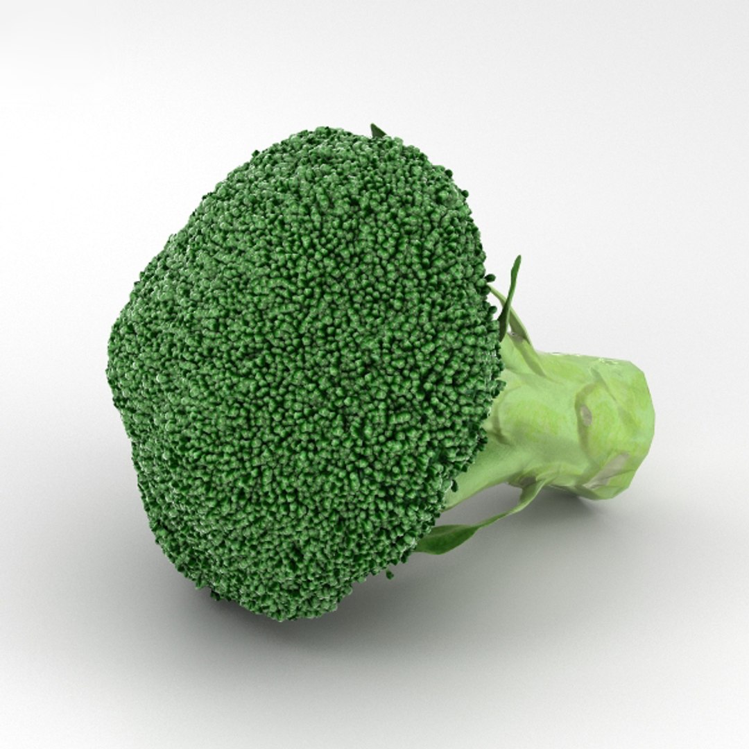 Broccoli brocoli vegetable 3D model - TurboSquid 1351459