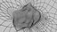Mole nevus cancer Malignant melanoma differences