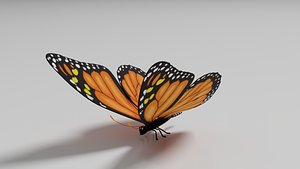 Butterfly 1 3D model