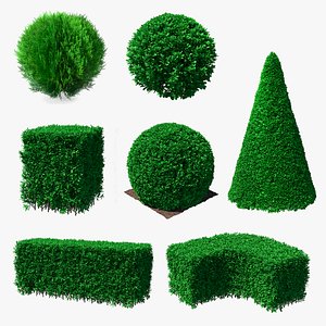 Decorative Shrubs Collection 3