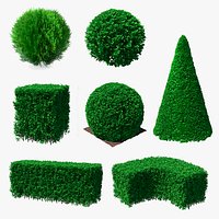 Decorative Shrubs Collection 3
