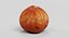 3D hazelnut corylus colurna